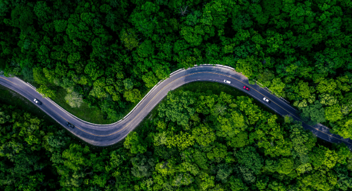 This is the feature image of the blog post 5 Reasons to Use Anionic Bitumen Emulsions Over Cationic Emulsions. The picture shows an aeral shot of a curvy asphalt road. This highway is opening way within a thick green forest. Anonic emulsions are recomended for use in remote places like this to maintain the road surface area.